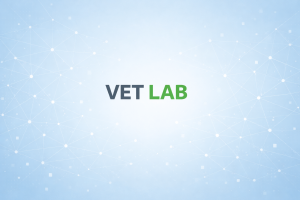 VET LAB za digitalno in trajnostno prihodnost: IKT, inovacije in okoljska ozaveščenost v praksi